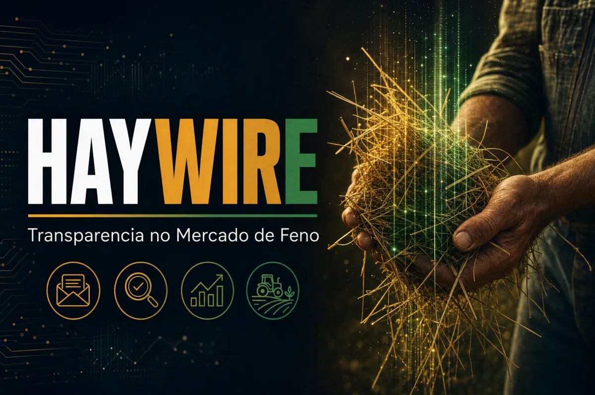 Newsletter HayWire traz mais transparência ao mercado de feno