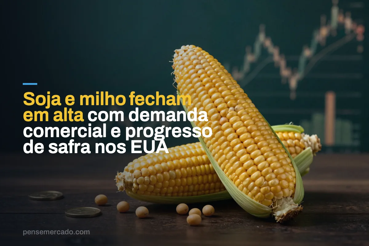 Soja e milho fecham em alta com demanda comercial e progresso de safra nos EUA