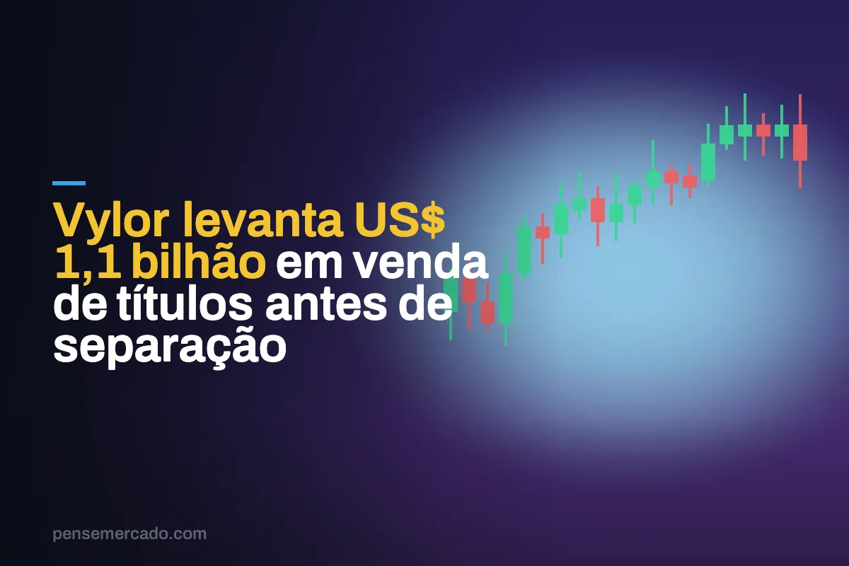 Vylor levanta US$ 1,1 bilhão em venda de títulos antes de separação
